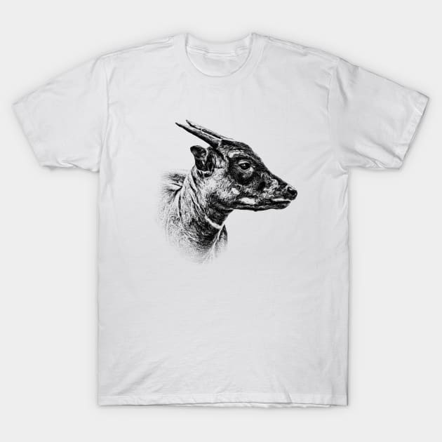 Lowland anoa T-Shirt by Guardi